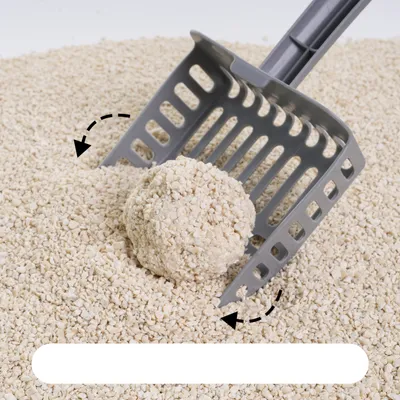 Catsplan litière végétale pour chats formule originale