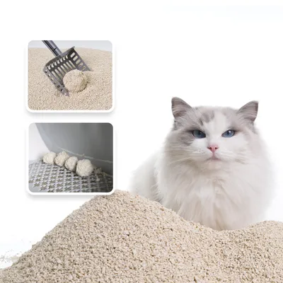 Catsplan litière végétale pour chats formule originale