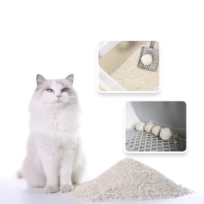 Catsplan - Litière végétale pour chats - Formule avancée
