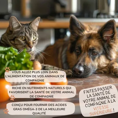 Lamina Care - Huile de Saumon Enrichie en Oméga 3 et 6, EPA et DHA