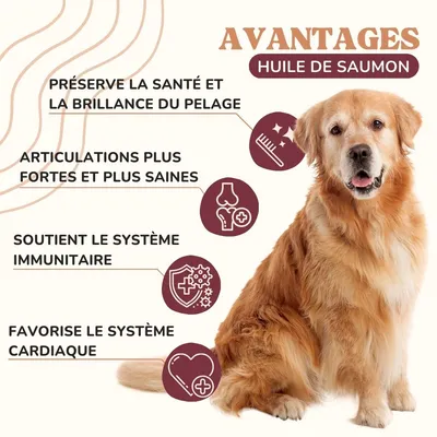 Lamina Care - Huile de Saumon Enrichie en Oméga 3 et 6, EPA et DHA