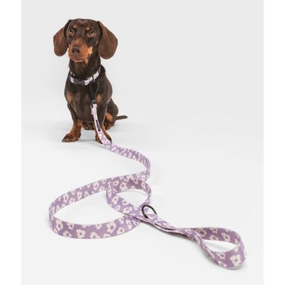 CAFIDE Collier PET recyclé, JUNO