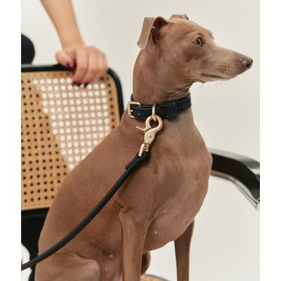 CAFIDE Collier en matière vegan, JALA