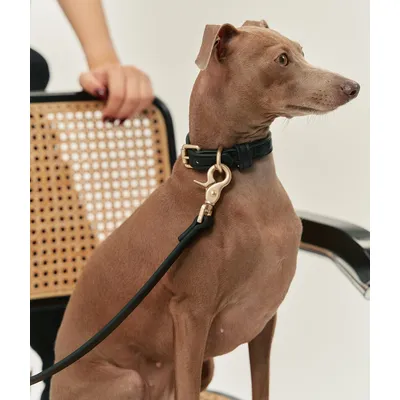 CAFIDE Collier en matière vegan, JALA