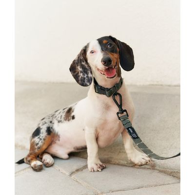 CAFIDE Collier PET recyclé, JUNO