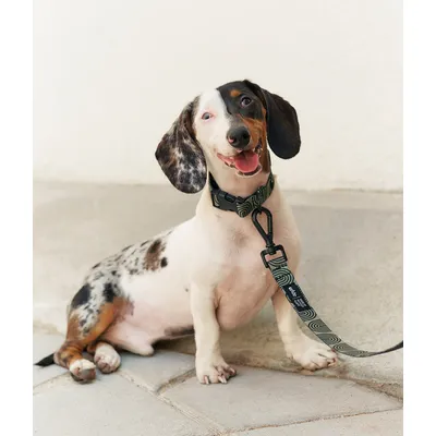 CAFIDE Collier PET recyclé, JUNO