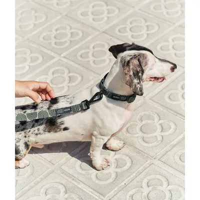 CAFIDE Collier PET recyclé, JUNO