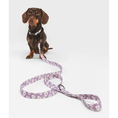 CAFIDE Collier PET recyclé, JUNO