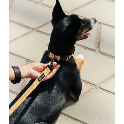 CAFIDE Collier PET recyclé, JUNO