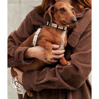 CAFIDE Collier PET recyclé, JUNO