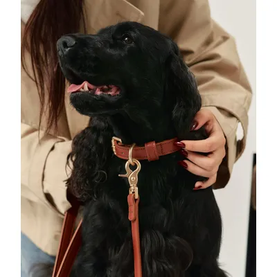 CAFIDE Collier en matière vegan, JALA