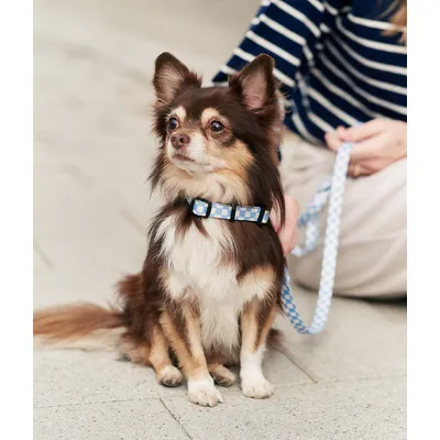 CAFIDE Collier PET recyclé, JUNO