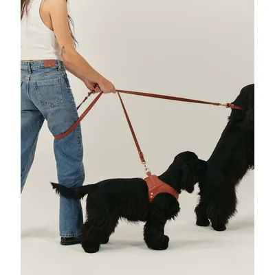 CAFIDE Harnais en matière vegan, JALA