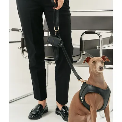 CAFIDE Harnais en matière vegan, JALA