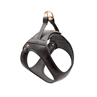 CAFIDE Harnais en matière vegan, JALA