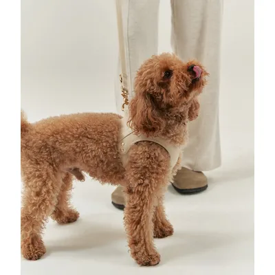 CAFIDE Harnais en matière vegan, JALA