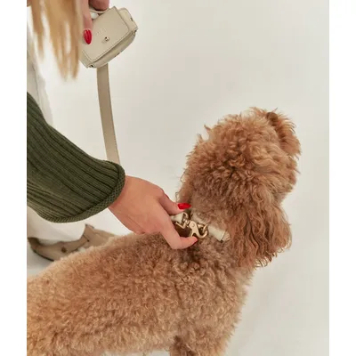 CAFIDE Laisse en matière vegan, JALA