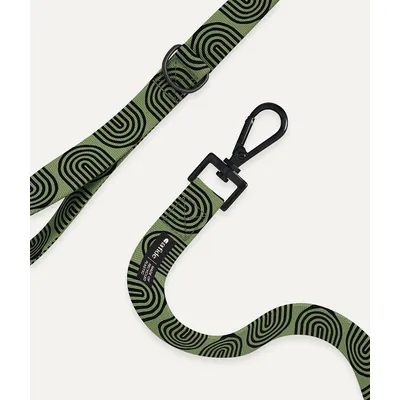 CAFIDE Laisse PET recyclé, JUNO