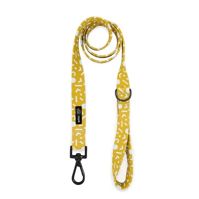 CAFIDE Laisse PET recyclé, JUNO