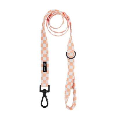 CAFIDE Laisse PET recyclé, JUNO CAFIDE Laisse PET recyclé, JUNO