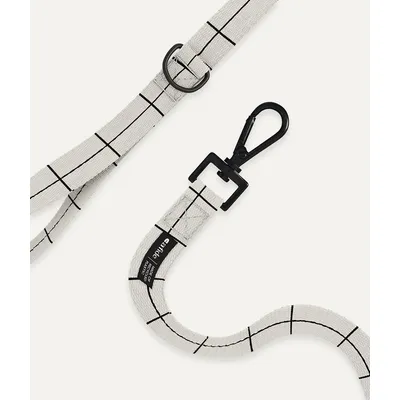 CAFIDE Laisse PET recyclé, JUNO