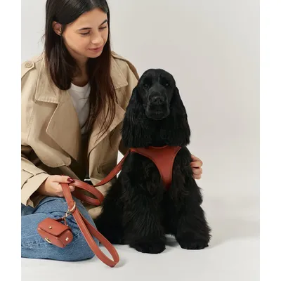 CAFIDE Laisse en matière vegan, JALA