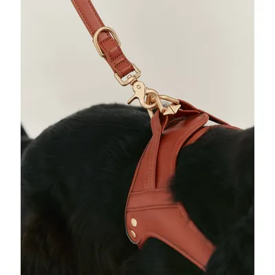 CAFIDE Laisse en matière vegan, JALA