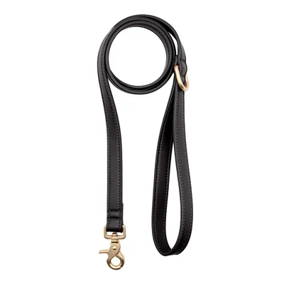 CAFIDE Laisse en matière vegan multiposition, JALA