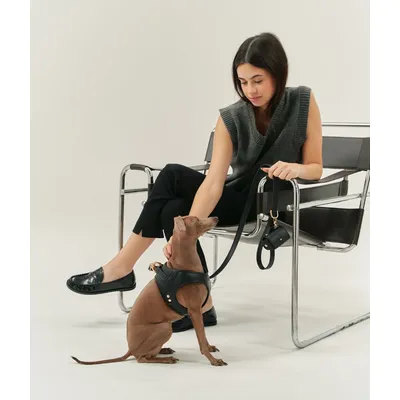 CAFIDE Laisse en matière vegan, JALA