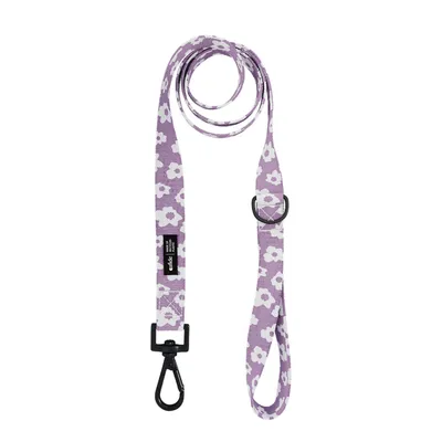 CAFIDE Laisse PET recyclé, JUNO CAFIDE Laisse PET recyclé, JUNO