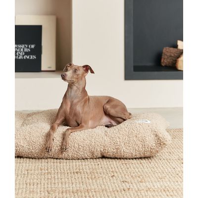 CAFIDE Coussin de lit pour chien en velours côtelé, BELA