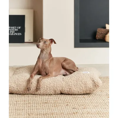 CAFIDE Coussin de lit pour chien en velours côtelé, BELA CAFIDE Coussin de lit pour chien en velours côtelé, BELA