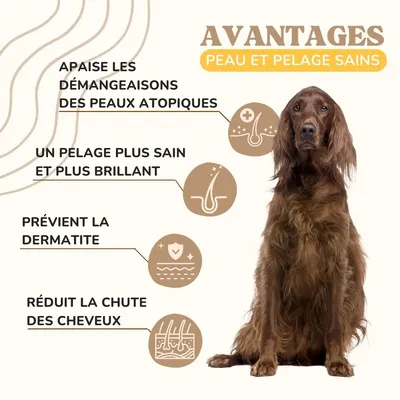 Lamina Care - Supplément pour une peau saine et éclatante