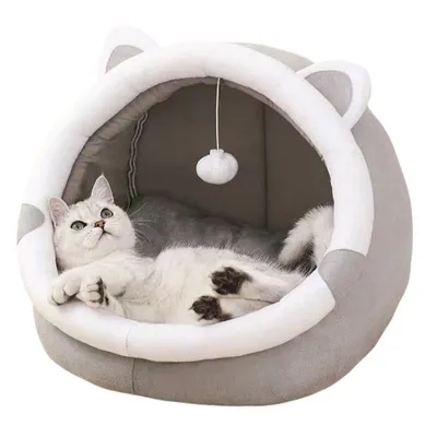 MCBOSON  la maison pour chat Four Seasons
