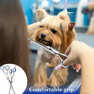 MCBOSON Ciseaux professionnels 6 en 1