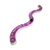 MCBOSON Circuit de jeu Super Roller pour chat MCBOSON Circuit de jeu Super Roller pour chat