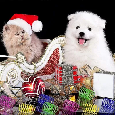 MCBOSON Lot de 12 ressorts en spirale colorés pour chat