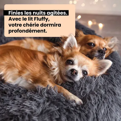 Panier Chien Fluffy Plus - Gris