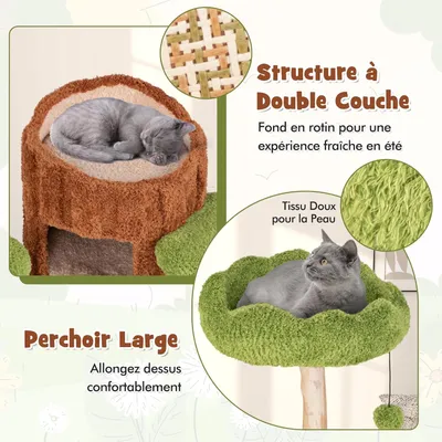 GIANTEX Arbre à Chat en Forme d'Arbre avec Perchoir, Griffoirs et Condo