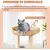 GIANTEX Arbre à Chat en Tige de Massette avec Griffoirs, Perchoir et Condo