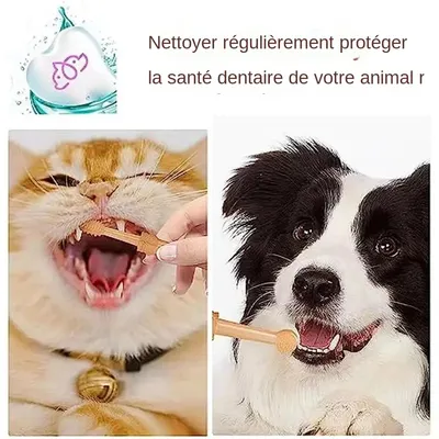 MCBOSON  Kit de brosse à dents  (2 pièces)