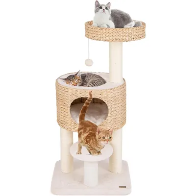 GIANTEX Arbre à Chat 104cm en Tige Massette avec Perchoir, Nid Confortable