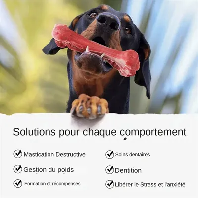 MCBOSON  Jouet à mâcher indestructible pour chiens agressifs
