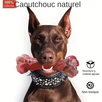 MCBOSON  Jouet à mâcher indestructible pour chiens agressifs