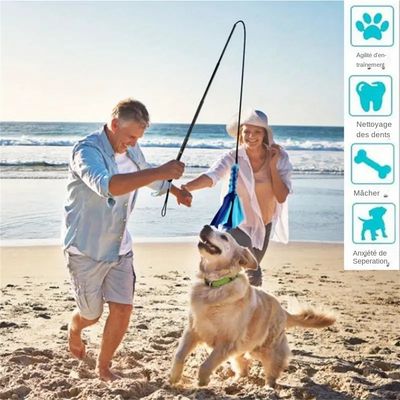 MCBOSON  Canne de séduction interactif pour chiens