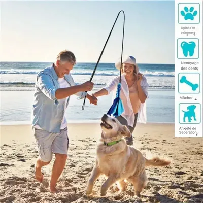 MCBOSON  Canne de séduction interactif pour chiens