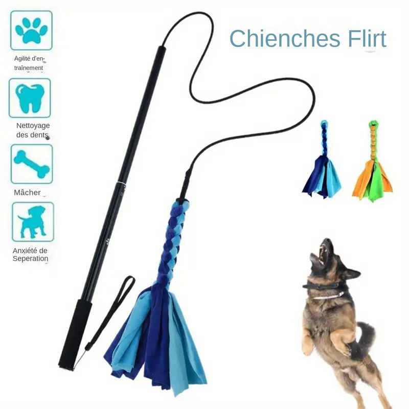 MCBOSON  Canne de séduction interactif pour chiens