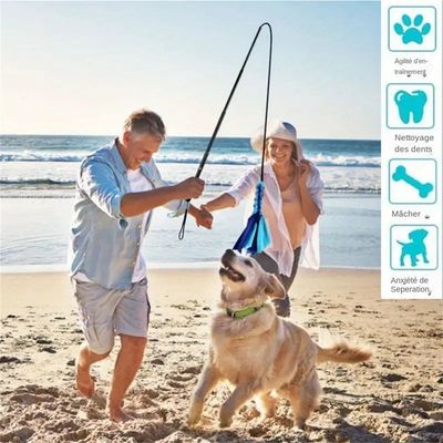 MCBOSON Interaktiver Hunde-Trainingsstab