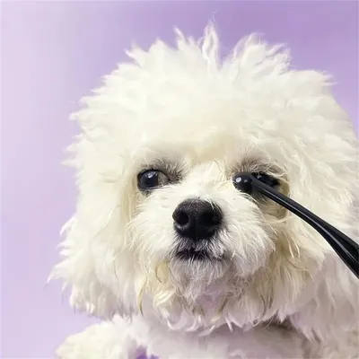 MCBOSON Brosse nettoyante pour les yeux