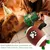 MCBOSON Robuster Hunde-Football aus Gummi
